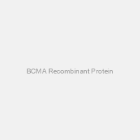 BCMA Recombinant Protein